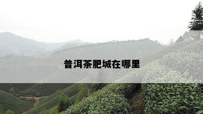 普洱茶肥城在哪里