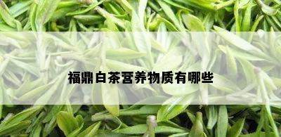 福鼎白茶营养物质有哪些