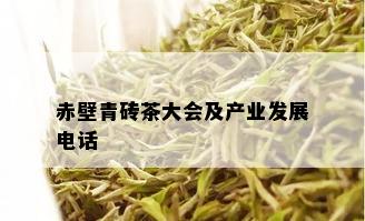 赤壁青砖茶大会及产业发展电话