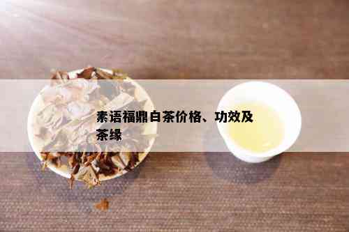 素语福鼎白茶价格、功效及茶缘