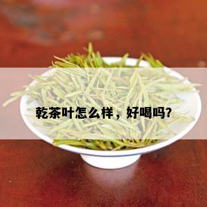 乾茶叶怎么样，好喝吗？