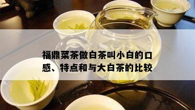 福鼎菜茶做白茶叫小白的口感、特点和与大白茶的比较