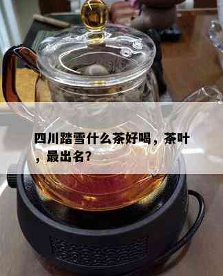 四川踏雪什么茶好喝，茶叶，最出名？