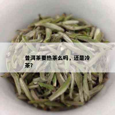 普洱茶要热茶么吗，还是冷茶？