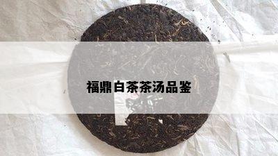 福鼎白茶茶汤品鉴