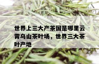 世界上三大产茶国是哪里云霄乌山茶叶场，世界三大茶叶产地