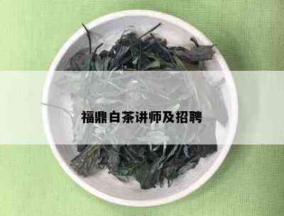 福鼎白茶讲师及招聘