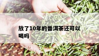 放了10年的普洱茶还可以喝吗