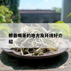 郫县喝茶的地方及环境好介绍