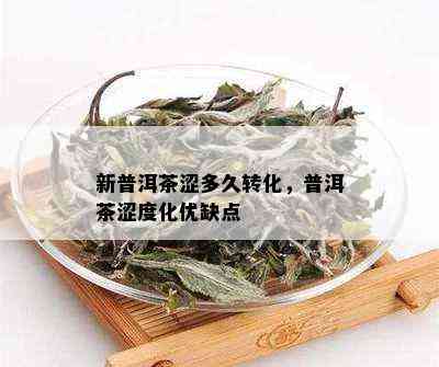 新普洱茶涩多久转化，普洱茶涩度化优缺点