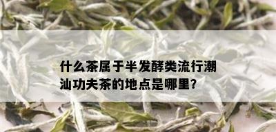 什么茶属于半发酵类流行潮汕功夫茶的地点是哪里？