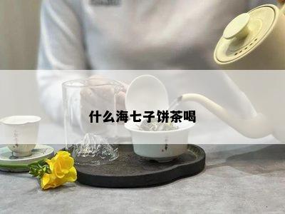 什么海七子饼茶喝