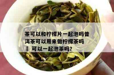 茶可以和柠檬片一起泡吗普洱茶可以用来做柠檬茶吗 – 可以一起泡茶吗？