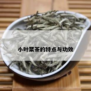 小叶菜茶的特点与功效