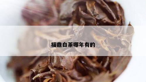 福鼎白茶哪年有的