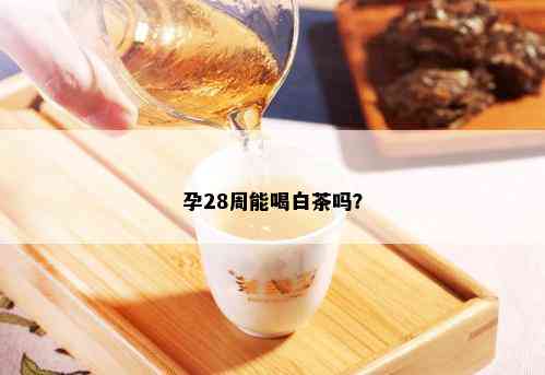 孕28周能喝白茶吗？