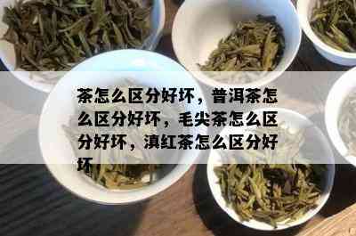 茶怎么区分好坏，普洱茶怎么区分好坏，毛尖茶怎么区分好坏，滇红茶怎么区分好坏