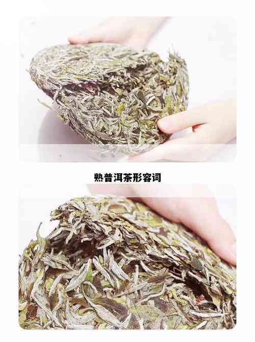 熟普洱茶形容词