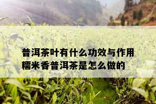 普洱茶叶有什么功效与作用糯米香普洱茶是怎么做的