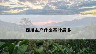 四川主产什么茶叶最多