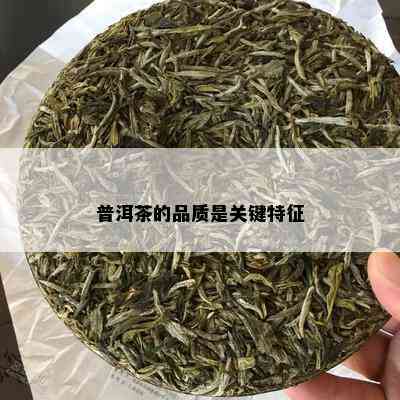 普洱茶的品质是关键特征