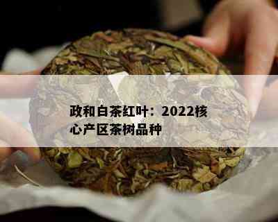 政和白茶红叶：2022核心产区茶树品种