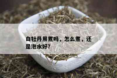 白牡丹用煮吗，怎么煮，还是泡水好？