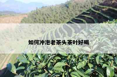 如何冲泡老茶头茶叶好喝