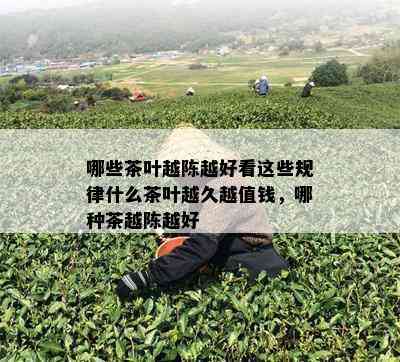 哪些茶叶越陈越好看这些规律什么茶叶越久越值钱，哪种茶越陈越好