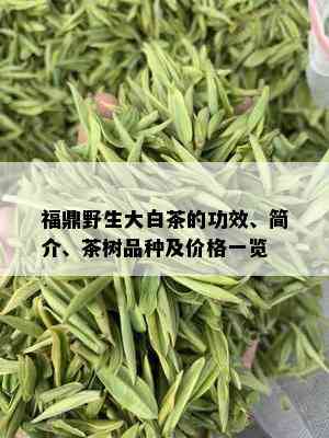 福鼎野生大白茶的功效、简介、茶树品种及价格一览