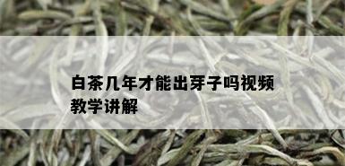 白茶几年才能出芽子吗视频教学讲解