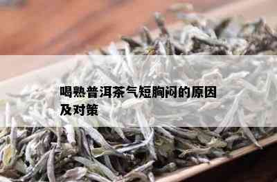 喝熟普洱茶气短胸闷的原因及对策