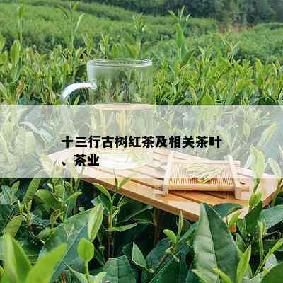 十三行古树红茶及相关茶叶、茶业