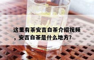 这里有茶安吉白茶介绍视频，安吉白茶是什么地方？