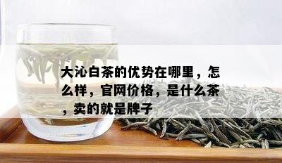 大沁白茶的优势在哪里，怎么样，官网价格，是什么茶，卖的就是牌子