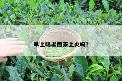 早上喝老眉茶上火吗？