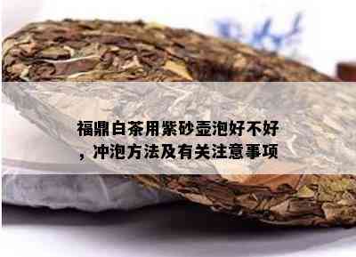 福鼎白茶用紫砂壶泡好不好，冲泡方法及有关注意事项