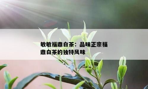 敏敏福鼎白茶：品味正宗福鼎白茶的独特风味