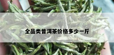 全品类普洱茶价格多少一斤