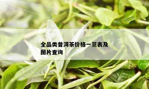 全品类普洱茶价格一览表及图片查询