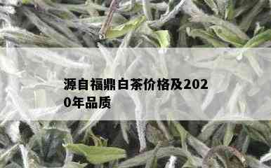 源自福鼎白茶价格及2020年品质