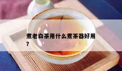 煮老白茶用什么煮茶器好用？