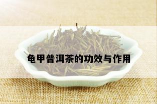 龟甲普洱茶的功效与作用