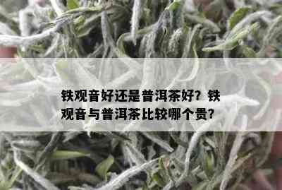 铁观音好还是普洱茶好？铁观音与普洱茶比较哪个贵？