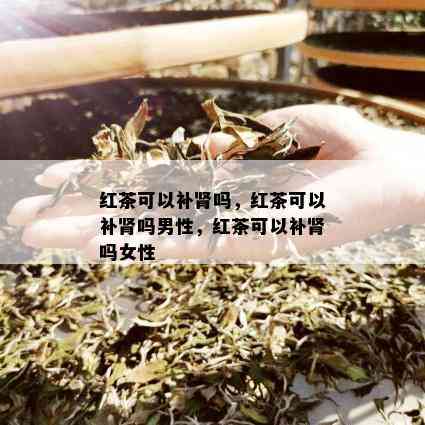 红茶可以补肾吗，红茶可以补肾吗男性，红茶可以补肾吗女性