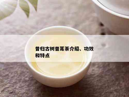 昔归古树普耳茶介绍、功效和特点