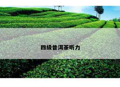 四级普洱茶听力