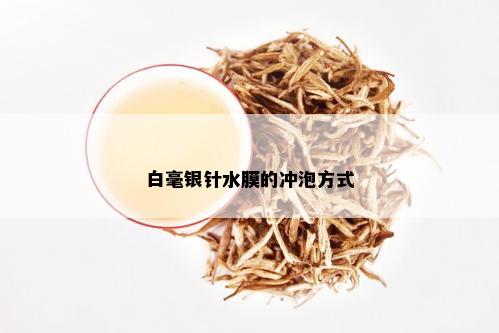 白毫银针水膜的冲泡方式