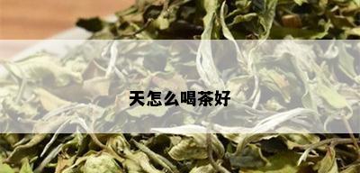 天怎么喝茶好