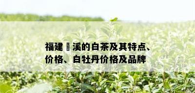 福建磻溪的白茶及其特点、价格、白牡丹价格及品牌